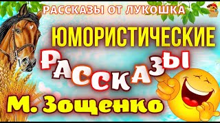 Смешные рассказы Зощенко • Сборник Юмористических рассказов Михаила Зощенко [upl. by Auqinahs]