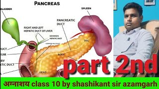 pancrease in humanGlucagonhormonesinsuline hormonesalpha beeta celldibetiesamylase lypas [upl. by Yenttirb]