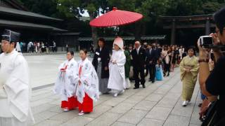 Traditional Japanese Wedding at Meiji Shrine [upl. by Fonz286]