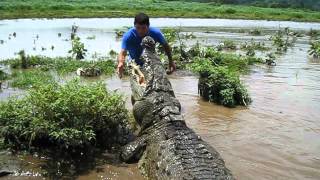 Crocodile Man Tour Rio Tarcoles Costa Rica [upl. by Bastien]