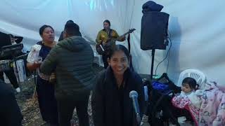 GRUPO MAYAS  Mujer sublime  Antwerpen Mashikuna [upl. by Ria617]