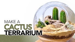 How to make a cactus terrarium [upl. by Ahtabat]