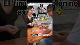 Así no Firulais firulais viralvideo viraltiktok viral viralshorts djveramusic shorts [upl. by Podvin436]