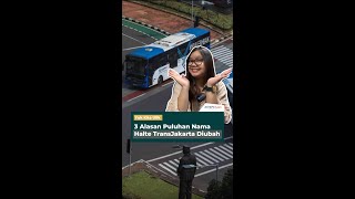 3 Alasan Puluhan Nama Halte TransJakarta Diubah [upl. by Auqenet]