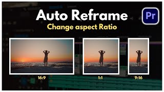 How To Change ASPECT RATIO In Premiere Pro  Lalit Mohan Pandey [upl. by Alexia]