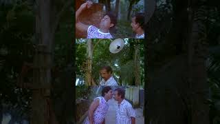 അടിച്ചു മാറ്റിയാലോ  Malayalam Comedy Scenes  Old Malayalam Comedy Scenes  Jagathy  Mamukkoya [upl. by Nnav]