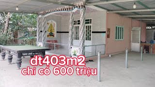 MS 720🩷 Bán nhà xã Tân Phú Tiền Giang dt403m2 chỉ có 600 triệu0386725208 [upl. by Lleryd]