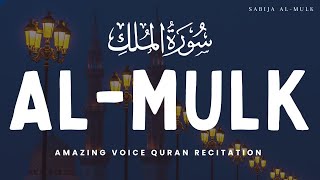 Calming Voice Recitation of Surah Al Mulk سورة الملك Protect You In The Grave [upl. by Pirnot]