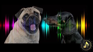 Dogs Barking Sound Effect  Sounds Dogs Love [upl. by Anelrahc779]