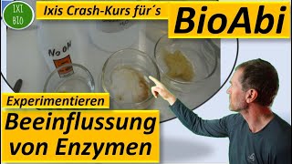 Enzyme 6 Experiment zur pHAbhängigkeitSchwermetallhemmung  Anwendungsaufgaben  Fit für´s BioAbi [upl. by Nyleda]