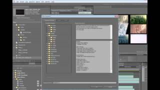 Adobe Creative Suite 5 Production Premium Overview [upl. by Sulecram]