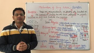 Receptor Pharmacology Part 01  Agonist  Inverse Agonist  Antagonist  Partial Agonist [upl. by Grados79]