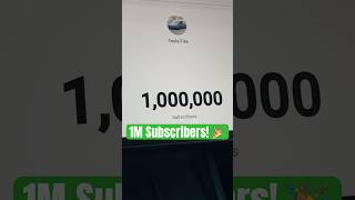 Hitting 1 MILLION Subscribers in My Tesla 😳🤯 [upl. by Lecram430]