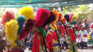 Danzantes Matlachines  Matachines de Jesus Maria  Ags  Mexico [upl. by Einial]