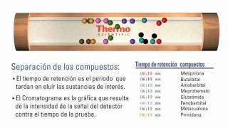 Thermo Scientific  Columnas para Cromatografía de gases [upl. by Han116]