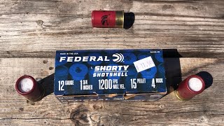 Federal Mini Shells 4 Buck  Breakdown [upl. by Ominorej332]