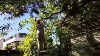 How to tie a SAFETY ROPE on a ladder [upl. by Gilli]