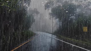 Sonido de Lluvia Fuerte y Perfecto para Dormir Profundamente  Ruido de Lluvia en el Bosque  ASMR [upl. by Irret]