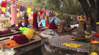 On the Path of the Buddha Buddhist Pilgrimage in North India and Nepal [upl. by Ashly259]