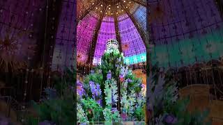 Galeries Lafayette Paris Christmas Galerieslafayette Paris France [upl. by Sivatco]