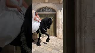 Casamassima la sposa arriva a cavallo quotInsegno equitazione Sorpresa per gli invitatiquot [upl. by Micheline]