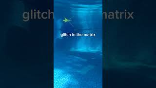 Glitch in the matrix edit funny [upl. by Refinnej]