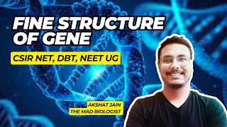 Fine Structure Of Gene In Hindi CSIRNET Fine Structure Of Gene In Hindi CSIRNET lifescience [upl. by Dreeda]