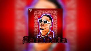 SAMBATA type beat  91 BPM [upl. by Hellman314]