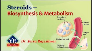 Steroids  Biosynthesis amp Metabolism  Biosynthesis and Metabolism of Steroids  YR Pharma Tube [upl. by Hcire153]