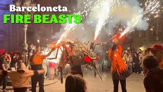 Correfoc de Bèsties at Festa Major de Barceloneta 2024  Fire Beasts [upl. by Atiral131]