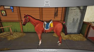 Horse World 3D  My Riding Horse part 8 Horse Game [upl. by Lymann79]