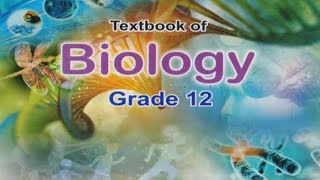 Mechanism of DNA replication xii Biology NBF [upl. by Seagraves]