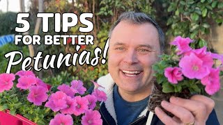 5 Tips for Better Petunias [upl. by Franklin]