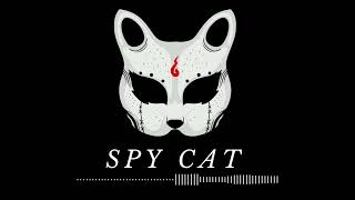 SPY CAT  Hip Hop Instrumental  2024 [upl. by Gloriana]