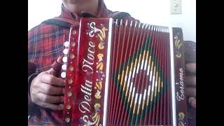 TARANTELLA SALTERELLA  ORGANETTO Diatonic Accordion [upl. by Akimik]