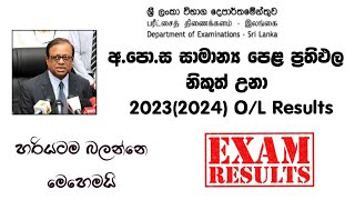 how to watch ol results 20232024 ol results out now [upl. by Amend]