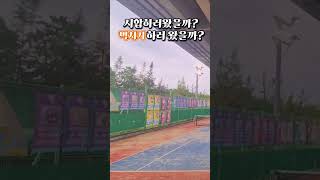 시합중 벽치기한 이유 tennis 테니스 벽치기 웃김 동호인 복식 tennisdoubles forehand backhand smash 포발리 운동 포핸드 [upl. by Farrington224]