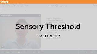 Sensory Threshold  Psychology  Chegg Tutors [upl. by Gherardo717]