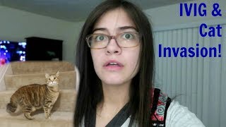 💉 IVIG Home Infusion amp Random CAT Runs INSIDE My House 😱 2118 [upl. by Wilkey]