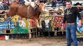 MEMO ACAMPÓ LLEGO CON SUS MEJORES TOROS A LA CAÑADA DE COENEO MICHOACÁN ¡¡ 22 DE DICIEMBRE 2022 [upl. by Mckee]