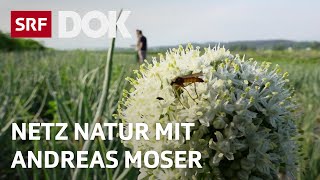 Landwirtschaft ohne Pestizide  NETZ NATUR mit Andreas Moser  DOK  SRF [upl. by Marsiella645]