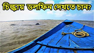 Puri Chilka Lake Dolphin Tour  OTDC Puri Chilika Package Tour  Puri Tour [upl. by Remliw440]