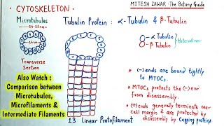 Cytoskeleton  Microtubules Microfilaments and Intermediate Filaments  Structure and Functions [upl. by Kajdan]