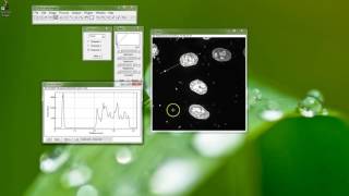 Fiji Is Just ImageJ  Counting Cells Part 1  Nuclei [upl. by Chenay]