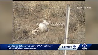 Human bones found throughout ABQ [upl. by Allis]