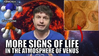 Gases Hinting At Alien Life Detected in the Atmosphere of Venus [upl. by Carlo]