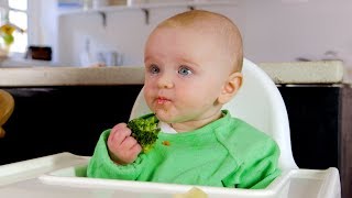 Babyled weaning basics [upl. by Asinla]