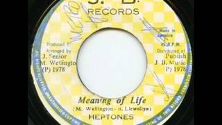 ReGGae Music 542  The Heptones  Meaning Of Life JB [upl. by Gard]