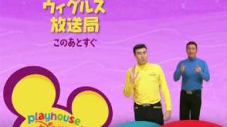 Playhouse Disney Japan  Network Wiggles  Coming Up Next Bumper [upl. by Hnib]