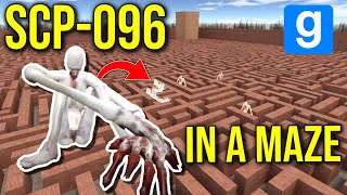 SURVIVING SCP096 IN MAZE gmod nextbot [upl. by Yovonnda]